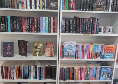 bookshelf 2