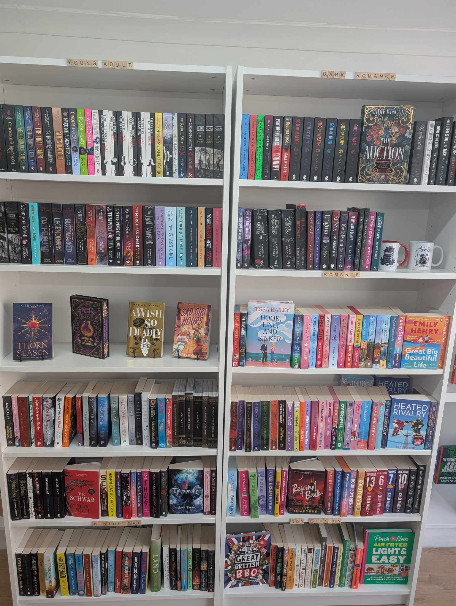 bookshelf 2